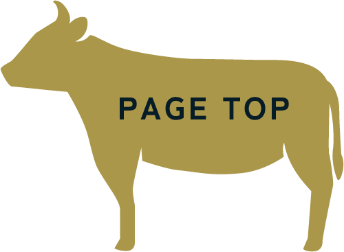 PAGE TOPへ戻る